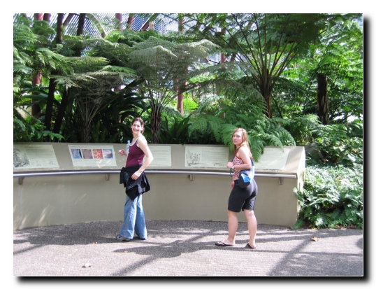 15 Royal Botanic Garden Sydney